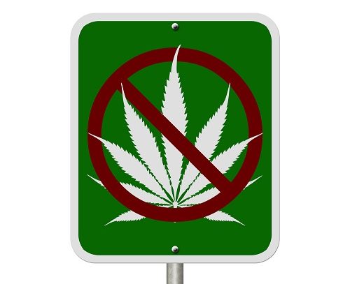 Legalized Marijuana